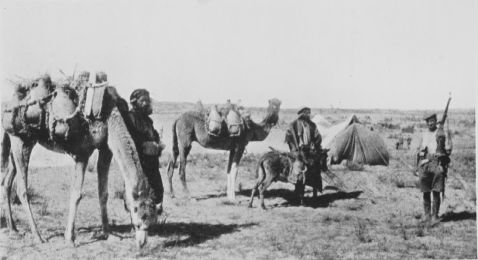 bedouins