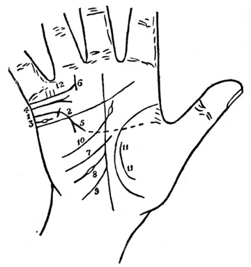 Plate XVIII. MARRIAGE LINES AND INFLUENCE LINES WHICH FURTHER HELP IN DENOTING MARRIAGE.