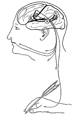 Fig. 5.—The speech zone (after Collins).