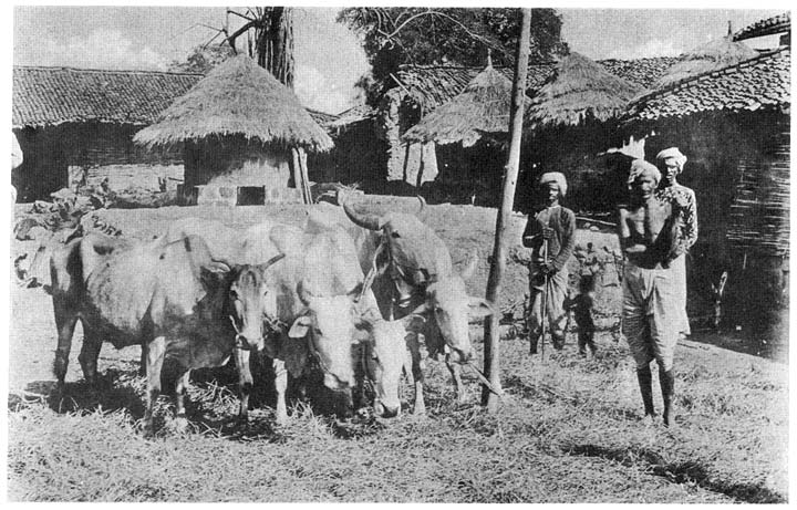 Threshing