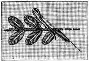 FIG. 179. POST STITCH.