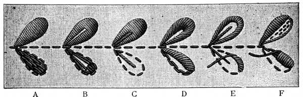 FIG. 189. SIX LEAVES IN RAISED SATIN STITCH.