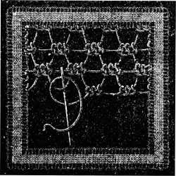 FIG. 731. TWELFTH LACE STITCH.