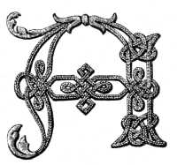 FIG. 882. LETTER A OF THE ALPHABET IN SOUTACHE IN ITS FINISHED STATE.