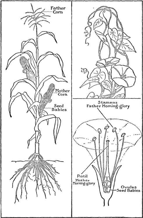 Fig. 17 Fig.18