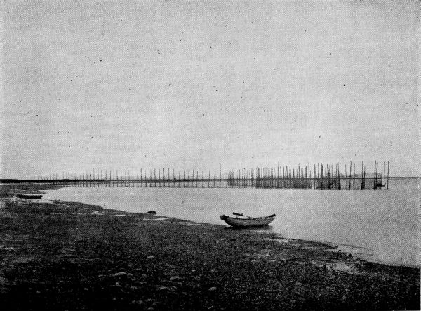 Modern Salmon Trap on an Alaskan River.