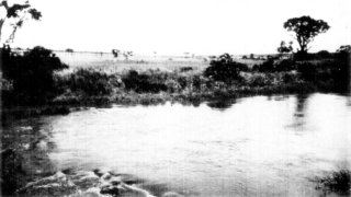 [Photograph: Along the Nzoia River]