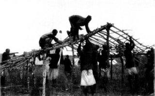 [Photograph: Building a Grass House]