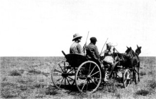 [Photograph: On the Athi Plains]