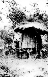 [Photograph: A Native Granary]