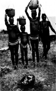 [Photograph: A Group of Ketosh Ladies]