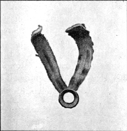 Fig. 30.