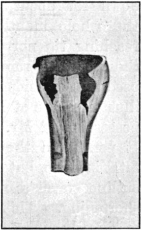 Fig. 39.