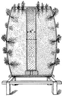 Barrel Culture of Herbs