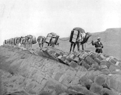 Author's Caravan Descending into River Bed near Darband.