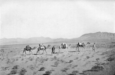 In the Desert. (Tamarisks in the Foreground.)