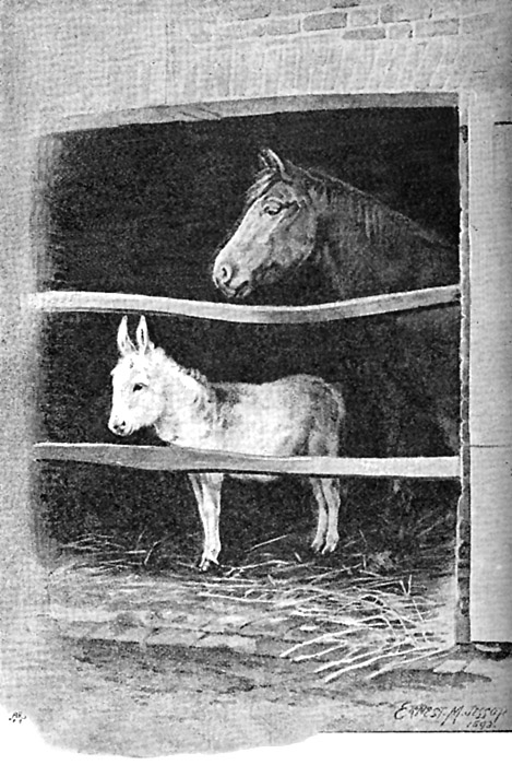 chestnut charger of the late emperor frederic of germany, and "ninette," the princess victoria's little white donkey.