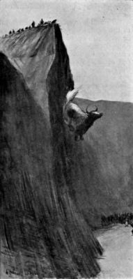 Yak driven over Precipice