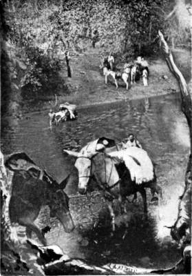 Author's Caravan crossing a Stream.