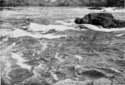 Rapid through which Author took his Canoe.