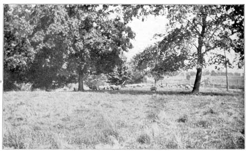 A Summer Scene in Mercer County