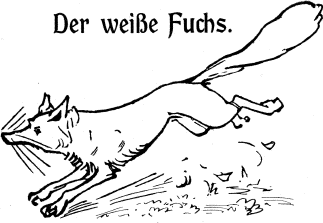 Der weiße Fuchs.