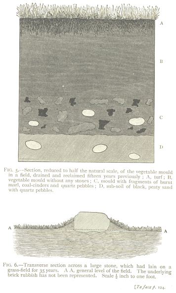 Fig. 5: Section of the vegetable mould in a field.  Fig. 6: Traverse section across a large stone