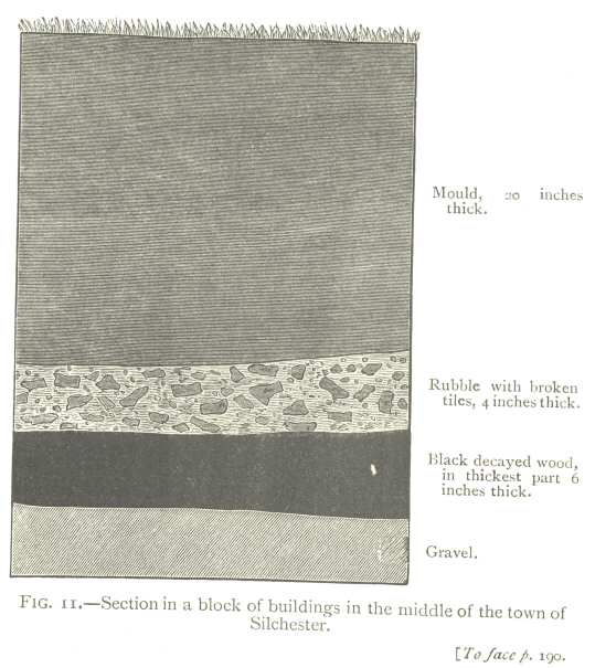 Fig. 11: Section in a block of buildings in the middle of the town of Silchester