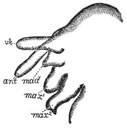 115. Mouth Parts of the Louse.