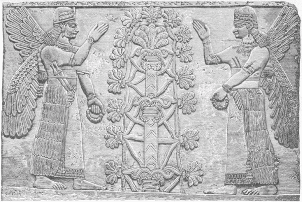 63.—FEMALE WINGED FIGURES BEFORE THE SACRED TREE. (From a photograph in the British Museum.)