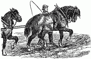 Ploughing