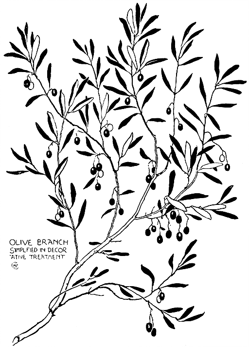 Olive Branch Simplified In Decorative Treatment