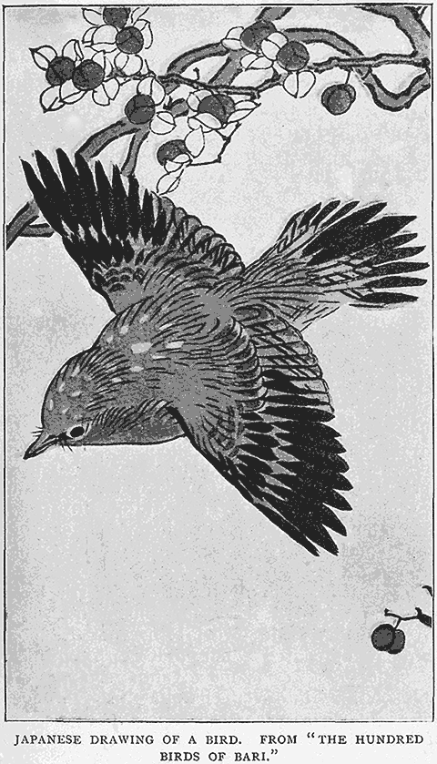 Japanese Drawing Of A Bird. From “;The Hundred Birds Of Bari.”;