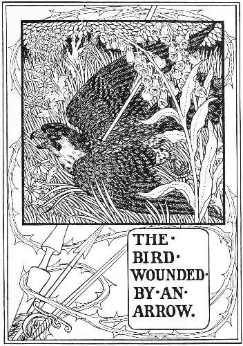 THE BIRD WOUNDED BY AN ARROW.