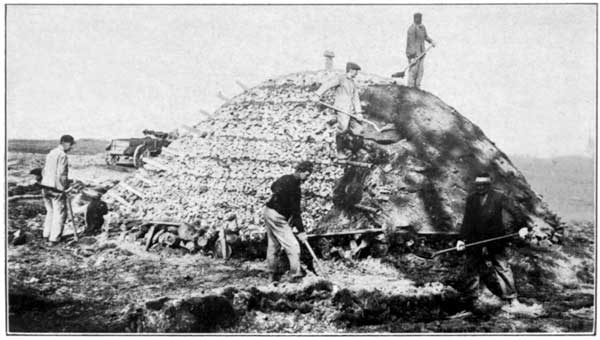 A Stack Nearly Completed at the Pennsylvania Experiment Station