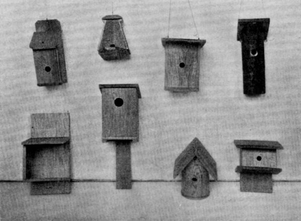 FIG. 24. WREN, BLUE BIRD AND ROBIN HOUSES.