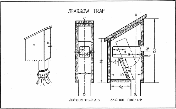 FIG. 64. (SPARROW TRAP)