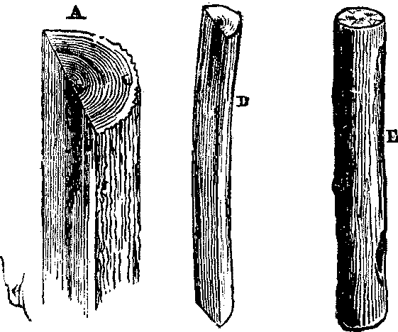 Fig. 14.