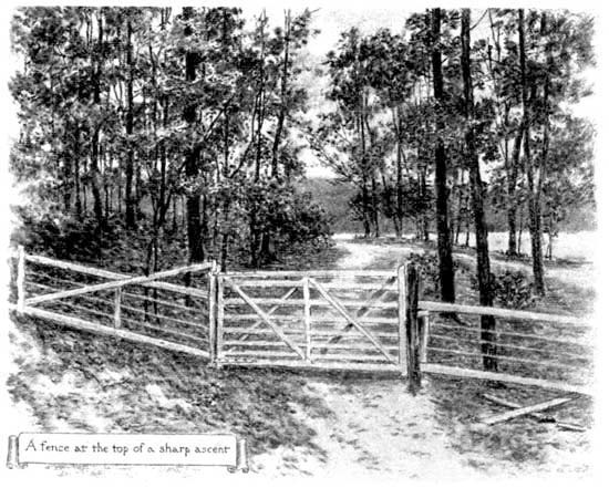 A fence at the top of a sharp ascent