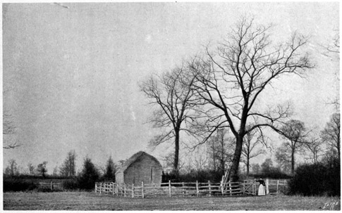 Haystack enclosed in a fence