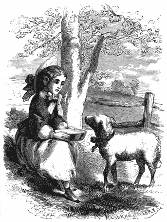 A girl sitting under a tree feeding a lamb.