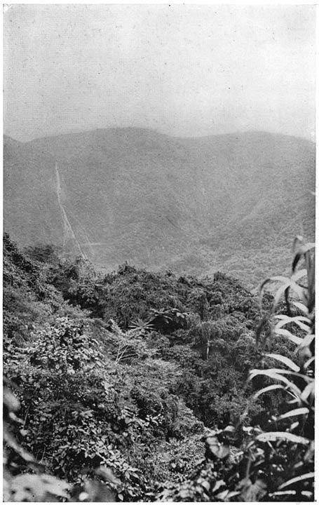 WILD MOUNTAIN SCENERY IN THE DISTRICT OF THE PYGMY POPULATION.