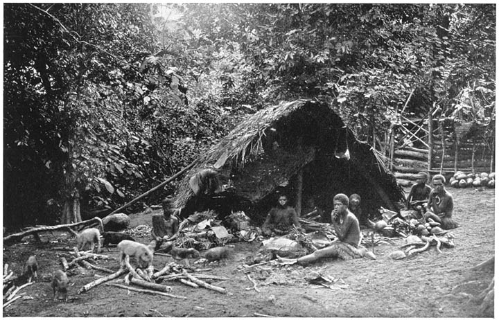 WOMEN COOKING ON AMBRYM.