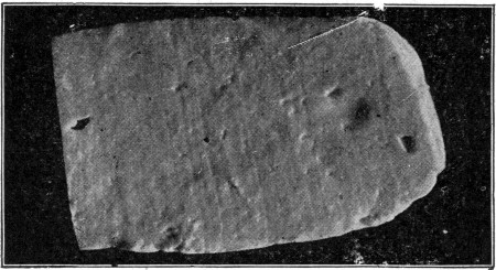 Fig. 19. Curd from a good milk. The large irregular holes are mechanical.