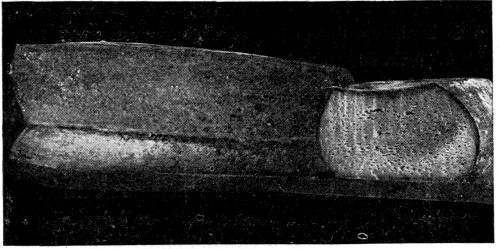 Fig. 34. Block Swiss cheese showing "gassy" fermentation.