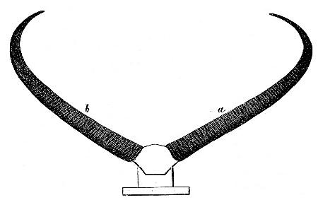 (3).—Horns of Arnee.—Scale of Half an Inch to a Foot.