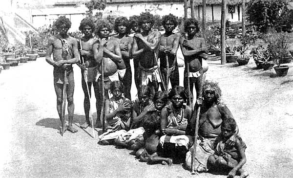 Jungle People of India