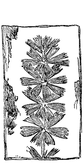 Fig. 27.