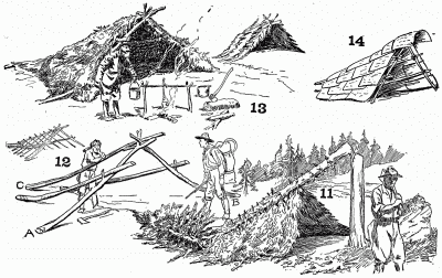 One-night shelter. The fallen tree and the scout-master.