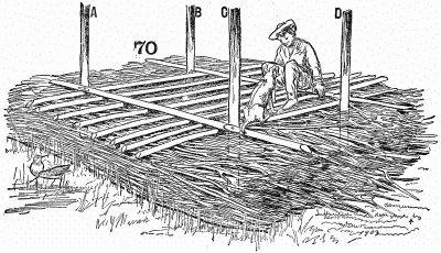 Snow-shoe foundation for bog ken.